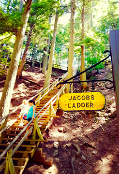 Jacobs Ladder 175 Steps Victoria Park